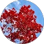 Kerry - Lee Howell Avatar