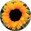 Tiffany Williams Avatar
